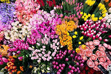 TGA最佳独立游戏提名引争议 《潜水员戴夫》不是独立游戏？